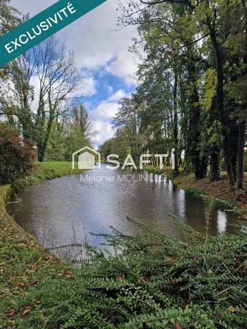 Parcelle de nature avec un étang et un abri en dur