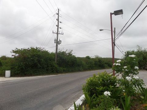 Nice lot on Queens Highway that is conviently located for shopping, banking, schools, gas stations, beaches and Deadman's Cay Airport. The capital, Clarence Town is only a 10 minute drive from this property.