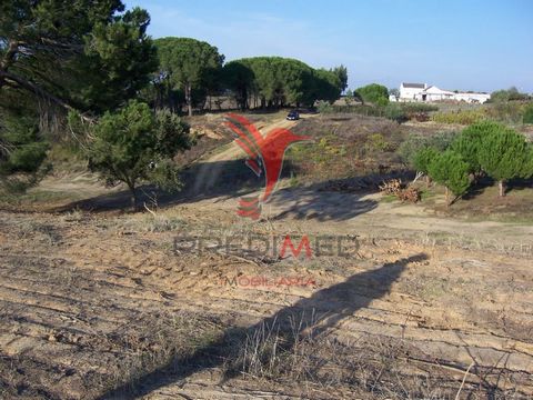   LAND with 17 000m2 with service of 500m2 - located 5 minutes from the Highway in Aveiras de Cima - 30 MINUTES FROM LISBON. For project of interest and public recognition namely HOTEL; IPSS, Store, etc. A single-family villa with 500m2 has already b...
