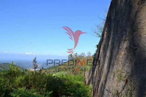   Terreno misto con 6120m2 e una magnifica vista sulla Serra de Monchique. Ha un rudere e si trova in una zona tranquilla, il che lo rende perfetto per costruire una proprietà nel cuore della natura. Situato a soli 15 minuti da questo terreno si trov...