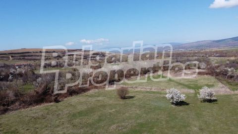 For more information call us on ... or 02 425 68 22 and quote the property reference number: Bo 63423. Responsible broker: Stefan Abanozov Spacious plot (4904 sq.m.) for investments (permanent use of the territory: urbanized, method of permanent use:...