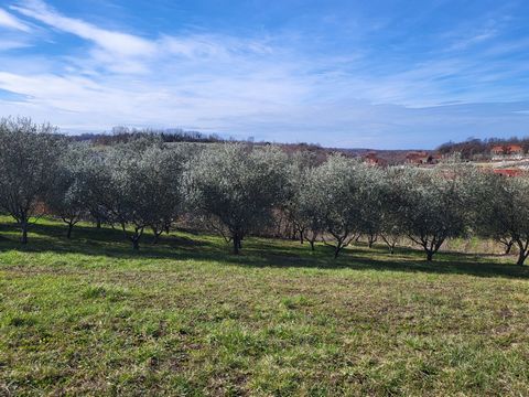 Location: Istarska županija, Vižinada, Vižinada. Vižinada is a small place located on the hill of the southern edge of the Mirna river valley, from which there is a far-known view of the surrounding natural beauty, vineyards and olive groves. It is l...