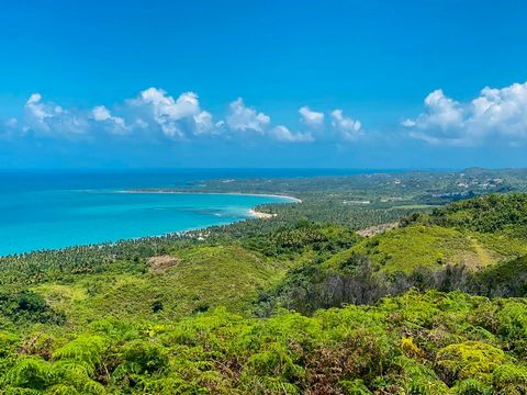 Bij de ingang van Las Terrenas enkele heuvels te koop vanaf 50.000 m2, met een spectaculair uitzicht over Playa Coson, de zee en Las Terrenas. In totaal 17 heuvels.