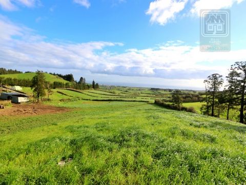 Großes rustikales Grundstück mit 14.000 m2 (10,04 Alqueires), in ländlicher Umgebung, in der Gemeinde Arrifes, Gemeinde Ponta Delgada; Das Land ist für die Beweidung/Kultivierung bestimmt. Da das Land nicht mit der Hauptstraße vergleichbar ist, erfol...