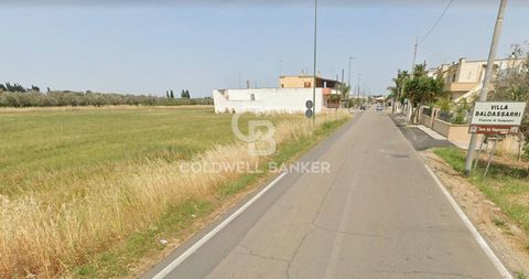 PUGLIA - SALENTO - GUAGNANO In Guagnano, in the hamlet of Villa Baldassarri, in a residential area with services, we are selling agricultural land of eight ares, which can be built on. Guagnano is about 20 km from Lecce, 38 km from Brindisi airport, ...