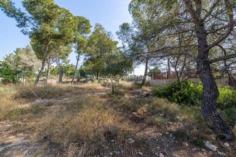 Building plot near the beach where you can build you dream home in Cala Vinyes This generous plot is around 1.600m2 and is offered for sale in a fantastic location, walking distance from the beach and amenities in Cala Vinyes. The plot is being sold ...