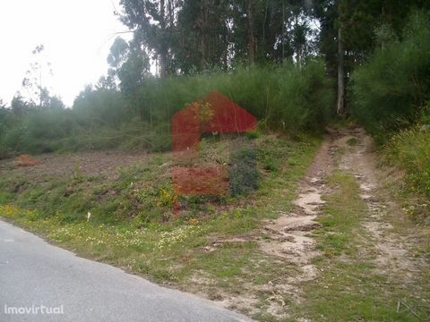 For sale Land with 23000m2 in Aboim da Nóbrega, Vila Verde! Land with good access; Excellent for planting Eucalyptus! We take care of your home loan, without costs or bureaucracies. INOVA Imobiliária is a credit intermediary authorised by Banco de Po...