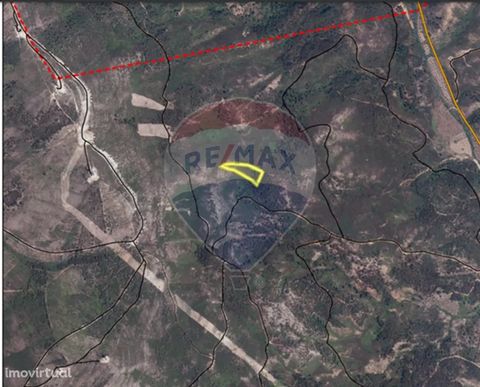 Land for sale at 1.400 € Rustic land with 4320 m2, composed of pine forest. Located in Lagoinhas, municipality of Mação. Site with stunning natural landscapes and several river beaches. Do not waste time schedule your visit now! At RE/MAX where your ...