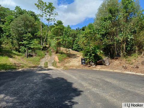 Extremely Motivated sellers looking to move this property as soon as possible. Build your new home here, this block of land is approx. 8,845m2. Located in Maple Terrace, one of the newer housing estates just out of town. This block offers a secluded ...
