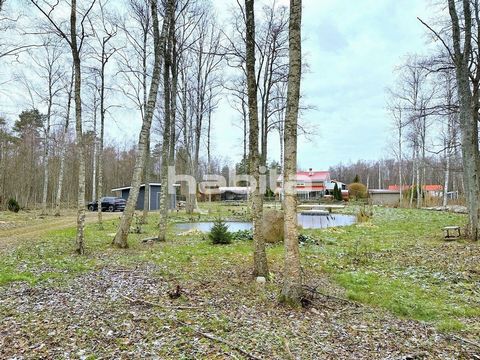 Large residential plot with the total area of 10582 m² for sale. One 2-floor residential building and 5 non-residential buildings can be built according to the detailed plan. The total building right area is 600 m². Only 30 minutes by car from Tallin...