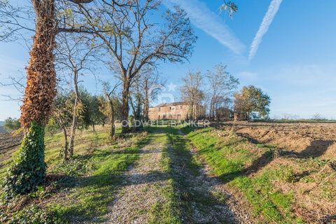 RUIN MONDAVIO Are you looking for a fascinating and unique project? We have the perfect opportunity for you! A suggestive ruin of approximately 230 m2, immersed in a breathtaking landscape setting with a beautiful panoramic view Main features: Living...