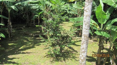 This land is located in one of the best areas of the south Caribbean, You have the privilege of enjoying a private jungle, its flat surface gives you the opportunity to take advantage of all its charms. Easy access to some of the most beautiful beach...