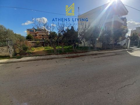 We offer for sale an excellent plot of land within the plan in the area of Acharnes - Charavgi. The plot is complete, buildable, fenced, and has a frontal facade of 16 meters and a depth of 30 meters. The building coefficient is 0.8, making it ideal ...