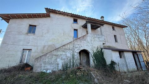 GUBBIO (PG), vicinity: 44-hectare farm with farmhouse consisting of: - 36 hectares of hillside arable land with CAP titles suitable for growing cereals or planting; - 1 hectare of olive grove in production; - 2 hectares of pastureland; - Remaining co...