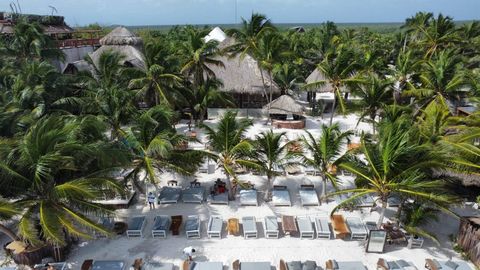 Nous sommes heureux de vous présenter une opportunité extraordinaire à Tulum. Cette propriété stratégiquement située a été méticuleusement développée et abrite un Beach Club qui se démarque comme un emblème du lieu. Cet espace comprend deux bars en b...