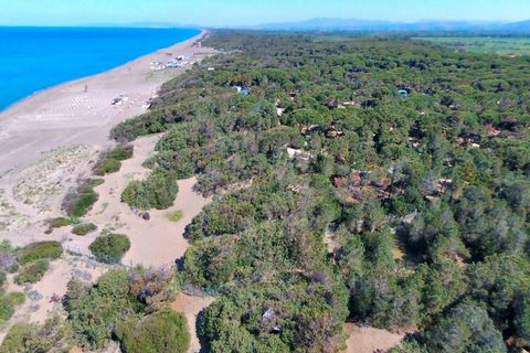 Diese charmante Wohnung befindet sich in einer Villa aus den 60er Jahren in einem Waldgebiet nur 300 Meter vom Strand von Marina Castagneto Carducci entfernt. Die Wohnung befindet sich im Erdgeschoss und wurde sorgfältig eingerichtet. Auch die Küche ...