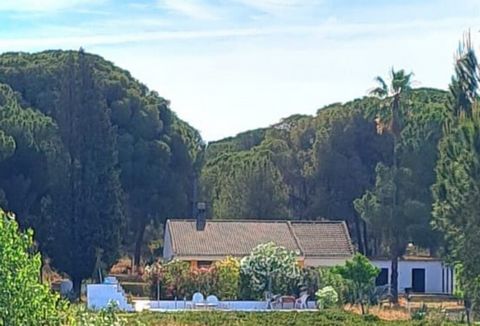 Esta fantástica propiedad en Lucena Del Puerto se encuentra en la campiña española en la Costa del al Luz, cerca de las playas de bandera azul de Huelva. Ofrece un terreno abierto excepcionalmente grande con una gran área de cocina al aire libre y un...