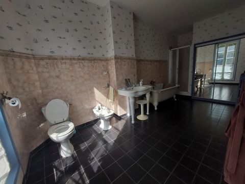 photo no. 9