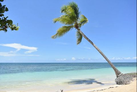 Ontdek je eigen hoekje van het paradijs in Las Terrenas! ✨ Dit moderne en lichte appartement met 1 slaapkamer ligt op een steenworp afstand van Poppy Beach en is perfect om zowel te genieten van het leven in het Caribisch gebied als te investeren in ...