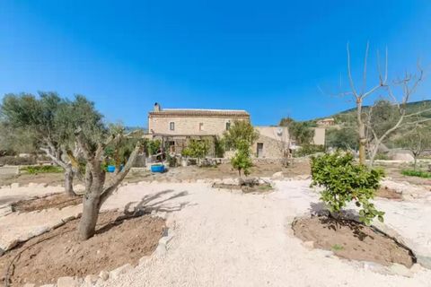 En esta casa nuestros huéspedes podrán pasar un verano típico mallorquín. La preciosa piscina de agua salada es ideal para baños relajantes después de un largo día de playa. Sus medidas son de 12 x 6 metros y la profundidad va desde los 0,7 hasta los...