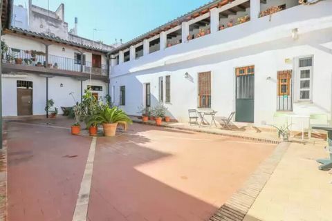 In the exteriors of this beautiful apartment you will find a large Andalusian courtyard that combines traditional elements of Andalusian architecture and design. There is a small table where you can relax and have a drink. Please note that as this is...