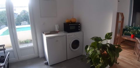 photo no. 7