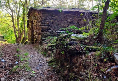 Heuhaufen und Land an einem idyllischen Ort Palheiro da Várzea, aus Schiefer und Tafel gebaut, befindet sich im Dorf Covas do Rio, einem kleinen und charmanten ländlichen Dorf. Es ist umgeben von unberührter und üppiger Natur. Diese paradiesische Eck...