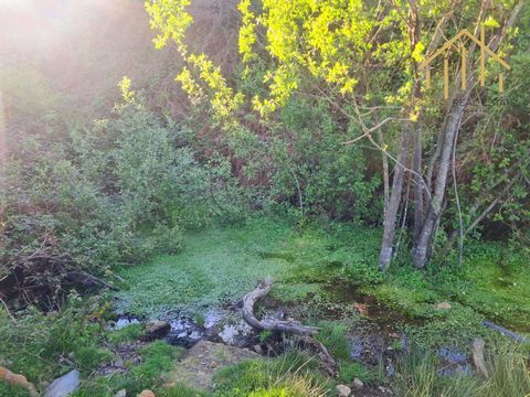 Das Land auf dem Monte São Macário mit einem Bach Das Grundstück befindet sich am Hang des São Macário-Gebirges mit 10.000 m2. Es gibt einige Kiefern, Eukalyptusbäume und Büsche. Bäche fließen auf dem Land, an den Hängen des Hügels. Der Ort ist von h...