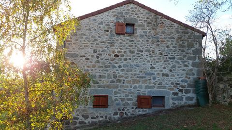 photo no. 37