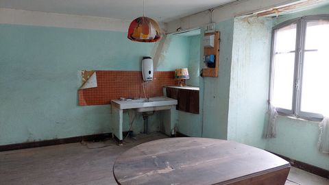 photo no. 10