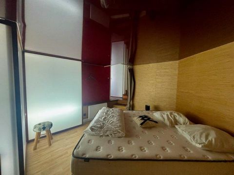 photo no. 12