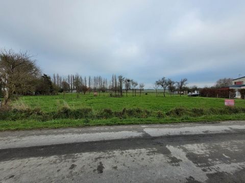 Franck BOUREL megAgence vous présente à 10 minutes de Dol de Bretagne à Cherrueix situé à la Larronnière ce terrain à bâtir libre de construction de 899 m2 borné, non viabilisé, hors lotissement à 80 mètres du bord de la Grève . Réseaux à proximité: ...