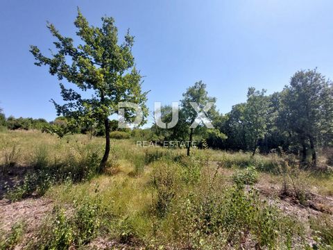 Location: Istarska županija, Labin, Labin. ISTRIA, LABIN - Terreno edificabile vicino alla natura incontaminata Su una collina sopra la cittadina turistica di Rabac si trova la cittadina medievale di Albona, il cui antico nome Albona venne menzionato...