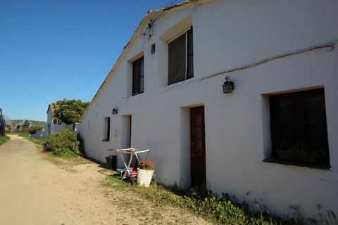 Excelente propriedade de 12 hectares muito bem localizada e com bons acessos. Desta quinta fazem parte 4 habitações, 2 armazéns, 4 contentores para cavalos e entre outras particularidades 5 hectares de Olival. As habitações são de estilo rústico e es...