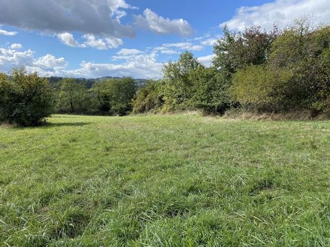 VUE SUR PARC vous propose un terrain constructible de 1916 mètres carrés dans un secteur privilégié, idéal pour les amateurs de nature et de calme. Vous pourrez y construire une maison d'une surface maximum de 300 mètres carrés habitables. Ce terrain...