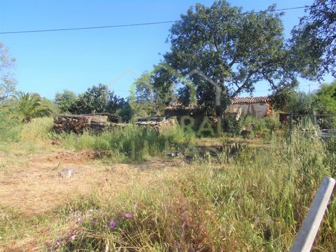 Ruin with land of great potential for reconstruction, close to Loulé and Faro. This property in Santa Bárbara de Nexe stands out for its strategic location and the generous dimensions of the land and the ruin, totalling 19,159 m² of flat area. The ex...