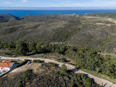 Das wunderschön gelegene Grundstück mit Meerblick liegt nur 5 Minuten von dem berühmten Strand Arrifana und 5 km von dem beeindruckenden Strand Monte Clerigo entfernt. Das Grundstück liegt in Westausrichtung in idealer Frontlinelage. Damit haben Sie ...