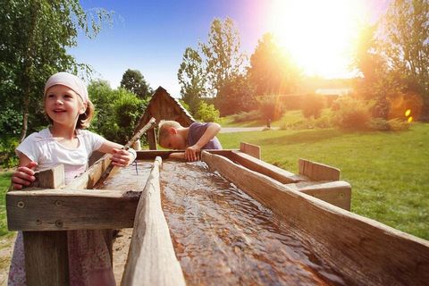 Kinderen welkom! Gezinsvriendelijk vakantiepark midden in het betoverende bos- en merenlandschap van het Mecklenburgse merengebied - direct aan het meer Granzower, halverwege Berlijn en de Oostzee. Het meer is via de Müritz-Havel-waterweg verbonden m...