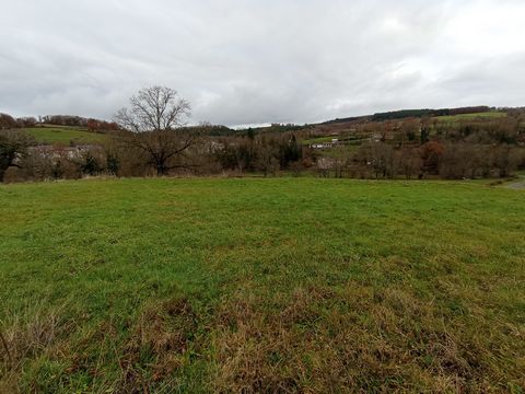 photo no. 10