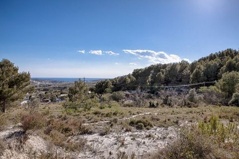 Esta propiedad está situada entre Moraira y Jávea tiene unas dimensiones ligeras y por lo tanto es perfecta para construir una villa de lujo Para los amantes de los caballos hay suficiente espacio para un picadero Una parcela de 11000m2 con vista al ...