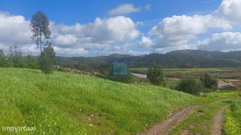 Ferme à Silves avec de belles vues panoramiques sur les montagnes et la rivière Arade dans le paysage. Ferme avec maison à démolir et concevoir une nouvelle maison, une autre ruine existante sur le terrain. Situé dans la région d’Odelouca, il offre b...