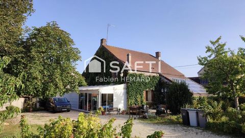 photo no. 9