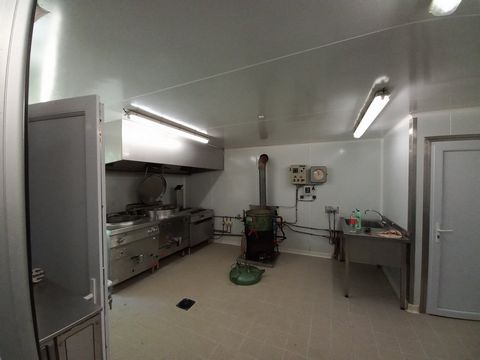photo no. 12