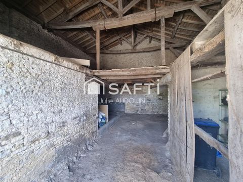 photo no. 13