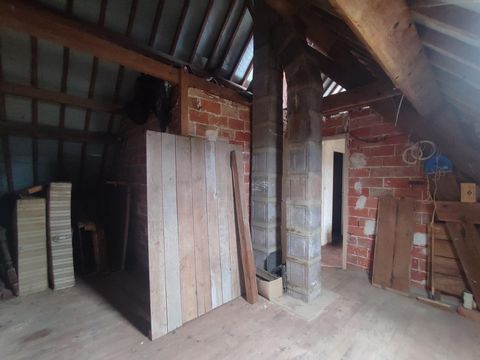 photo no. 10