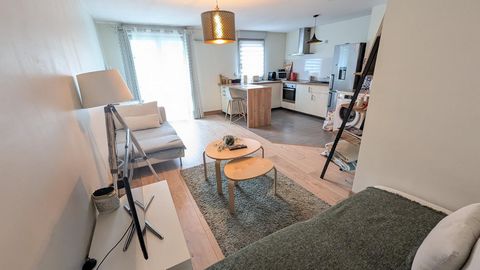 appartement 47m2