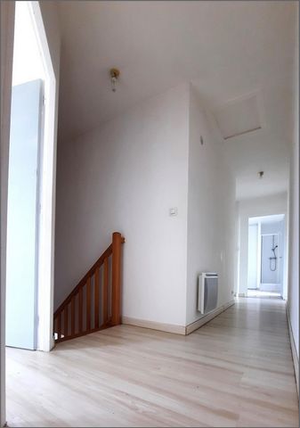 photo no. 11