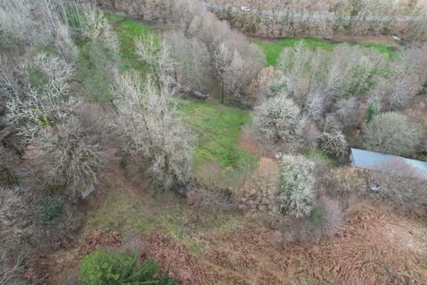 photo no. 12