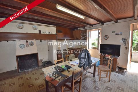 photo no. 12