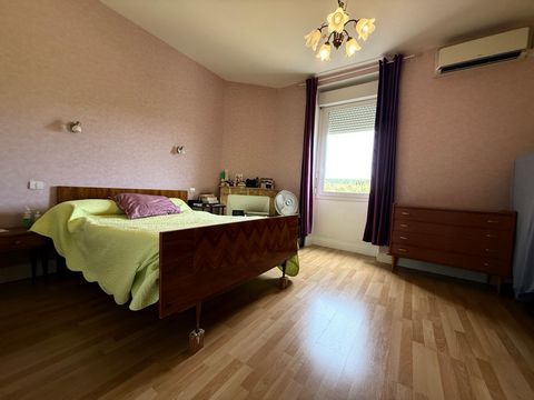 photo no. 10